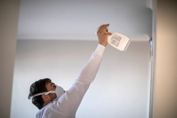 Best Crawl Space Mold Removal  in Greenwood, DE