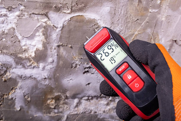 Crawl Space Mold Removal in Greenwood, DE