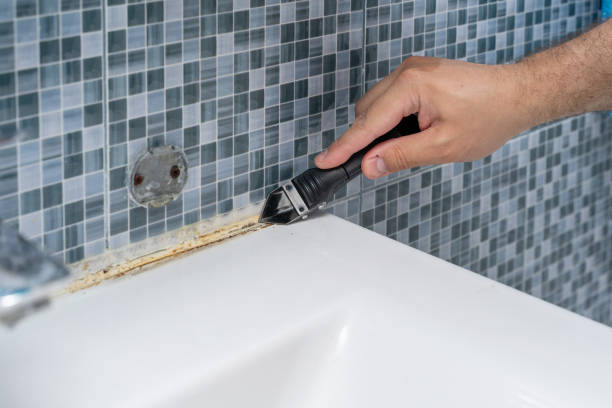 Best Water Damage Restoration  in Greenwood, DE